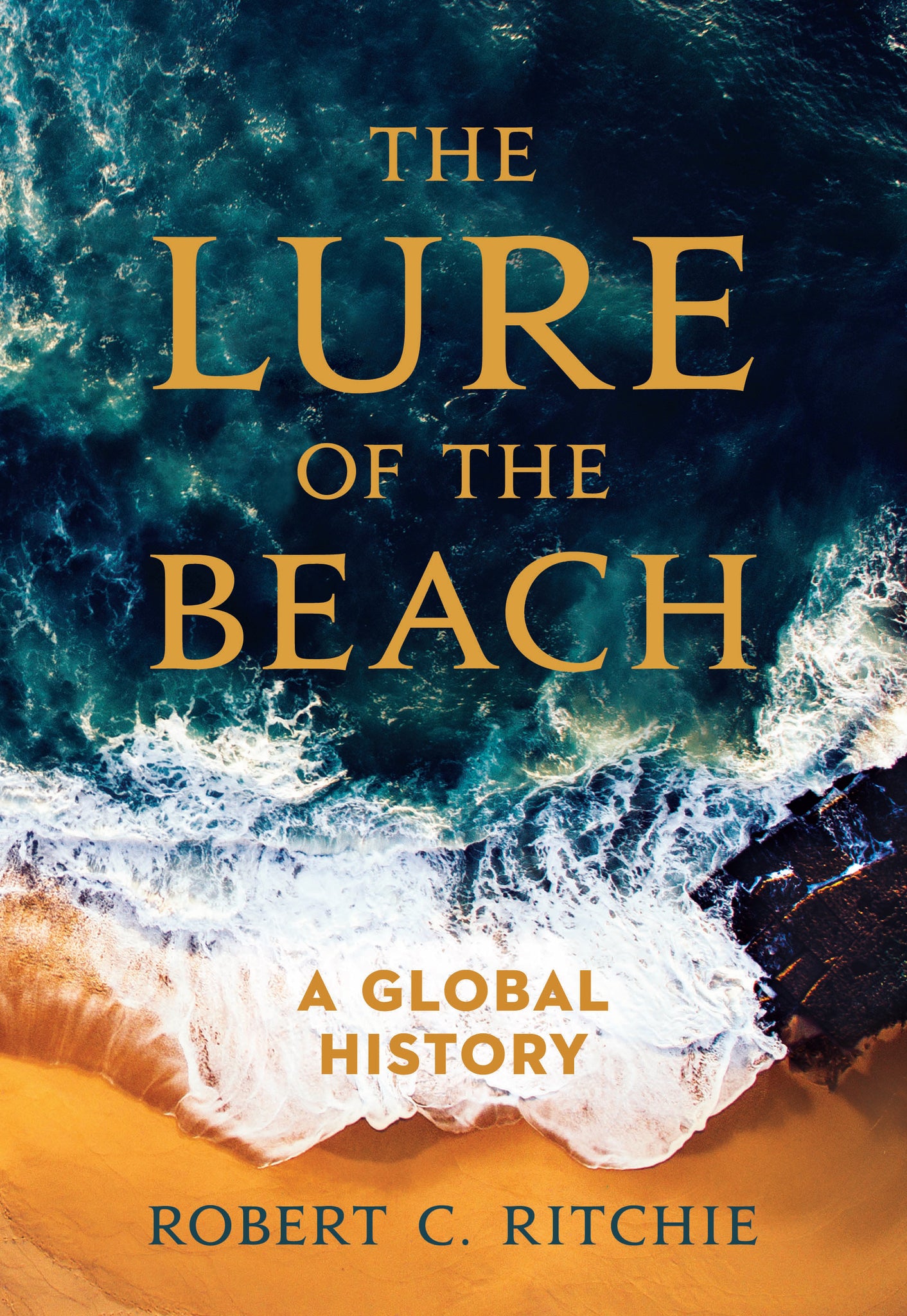 Cover image for The Lure of the Beach ISBN 9780520395572